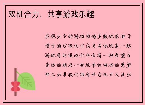 双机合力，共享游戏乐趣